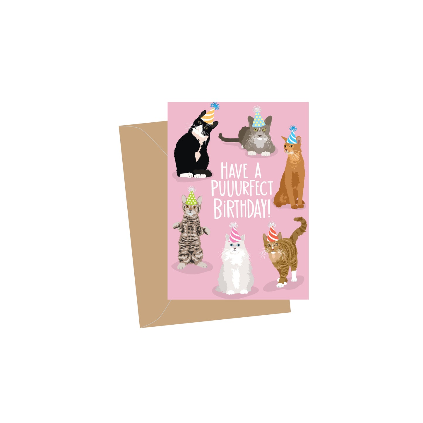 Mini Birthday Cats, Folded Enclosure Cards