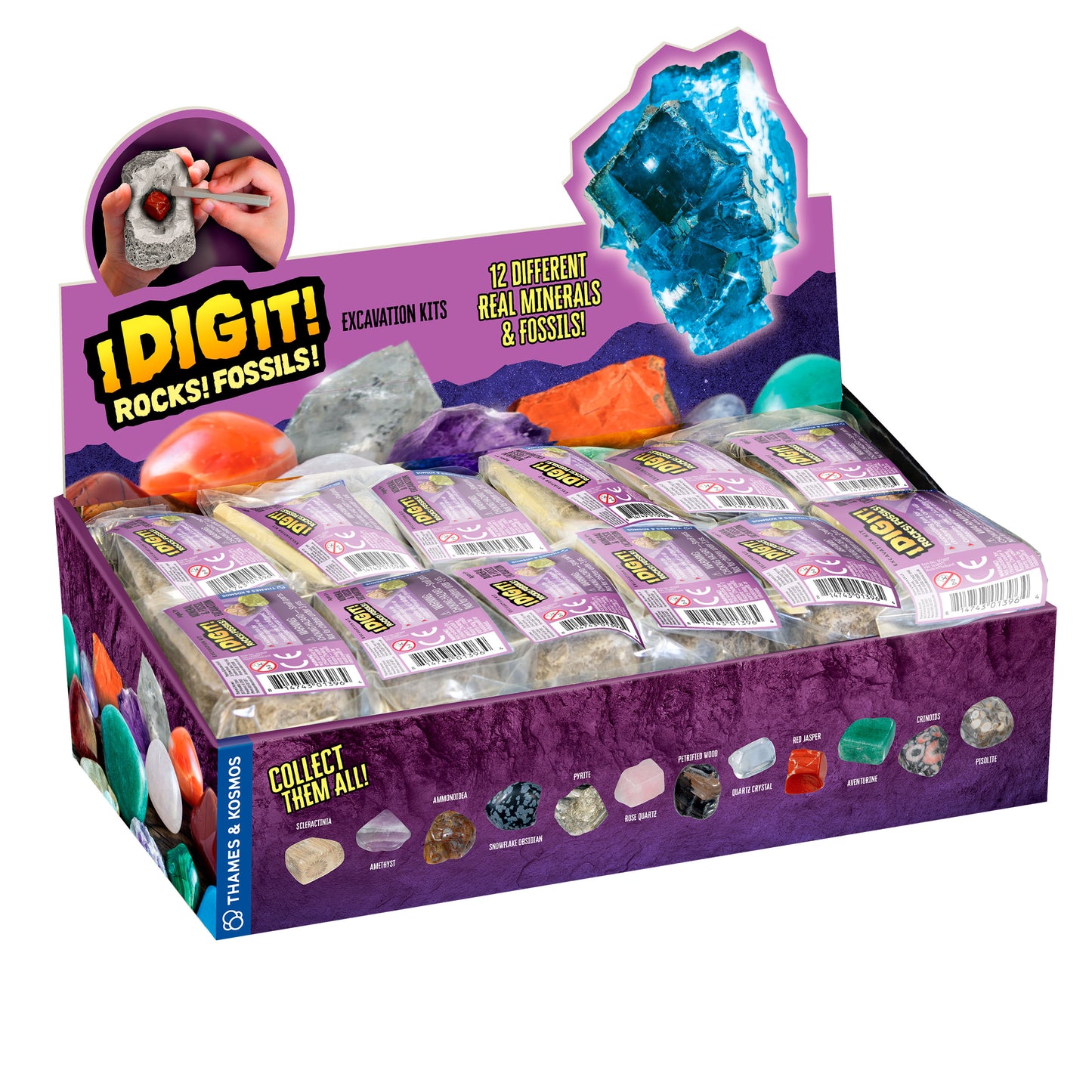 I Dig IT Rocks & Fossils