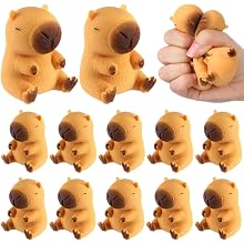 Squishy Capybara