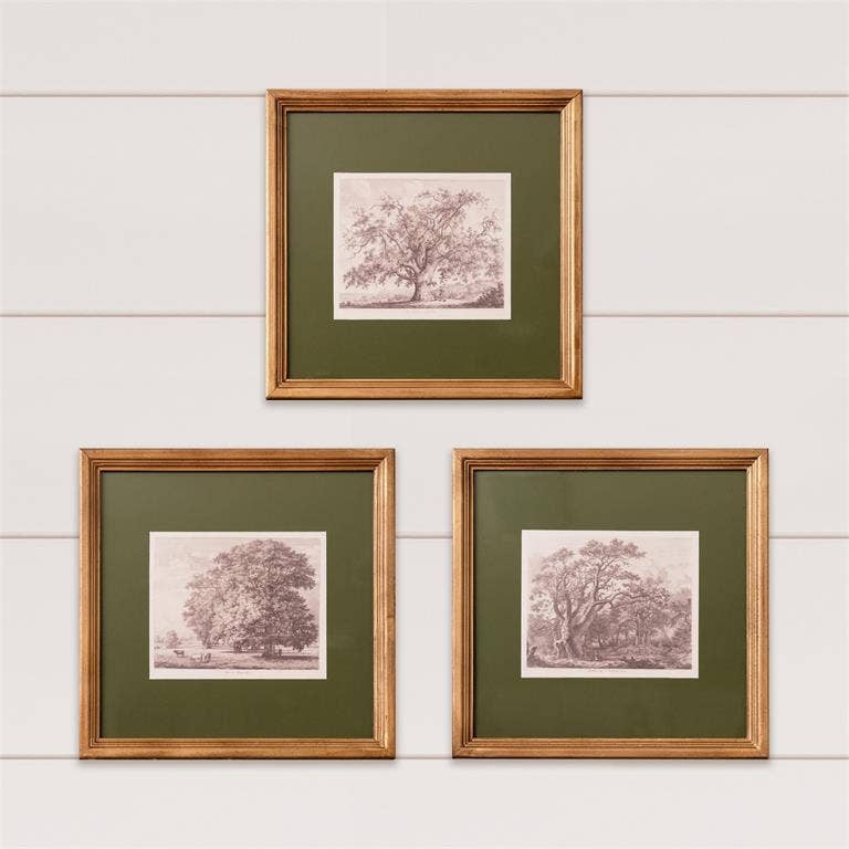 Framed Print - Olive Matted Tree Sketch (Pk/03 Ast)