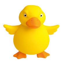 Stretch'n Smash Grumpy Duck