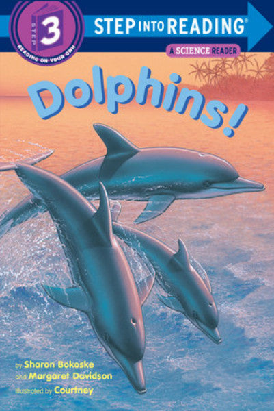 Step Into Dolphins-1