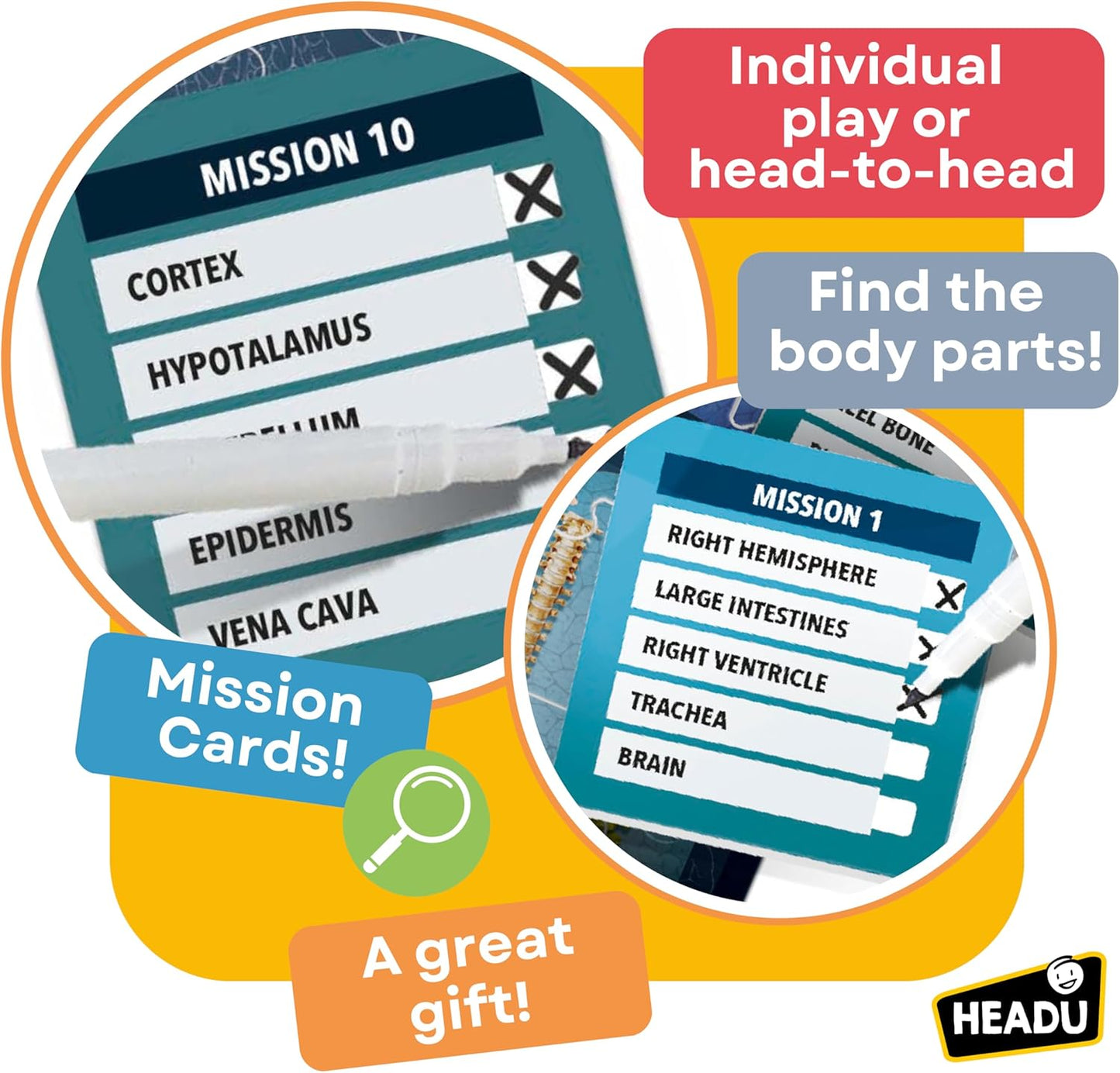 X-Ray Mission Human Body-5