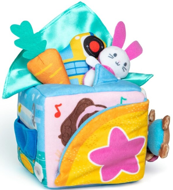 Ms Rachel Learning Box-1