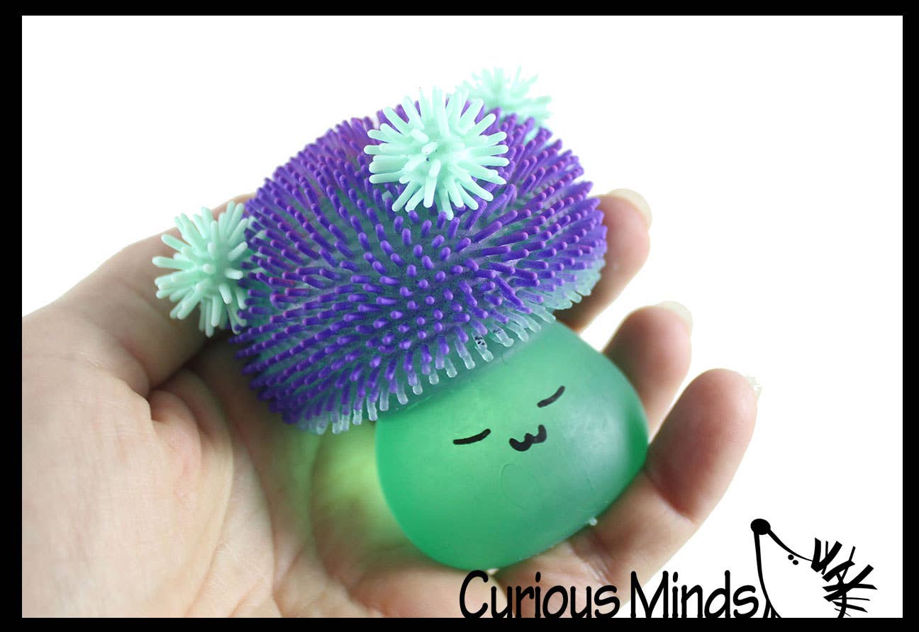 Mushroom Sugar Puffer Ball Squishy