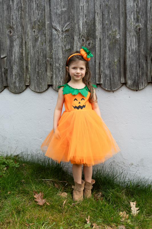 Pumpkin Patch Princess Dress 5/6