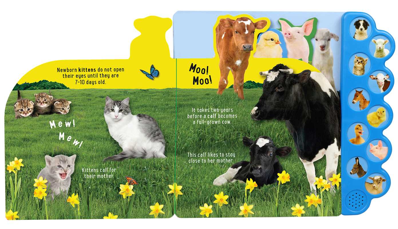 Discovery Kids: Baby Farm Animals! by Editors of Silver Dolphin Books