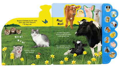 Discovery Kids: Baby Farm Animals! by Editors of Silver Dolphin Books