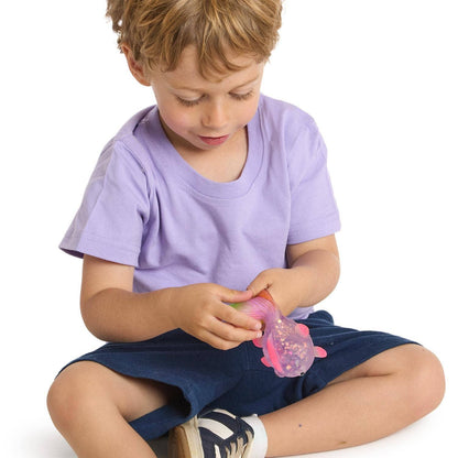Squishy Glitter Fish Toy Unit with Aquarium Display