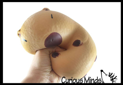 Jumbo Capybara Doh Filled Squishy Squeeze Stress Ball Soft