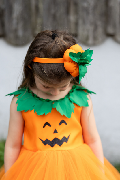 Pumpkin Patch Dress 3/4