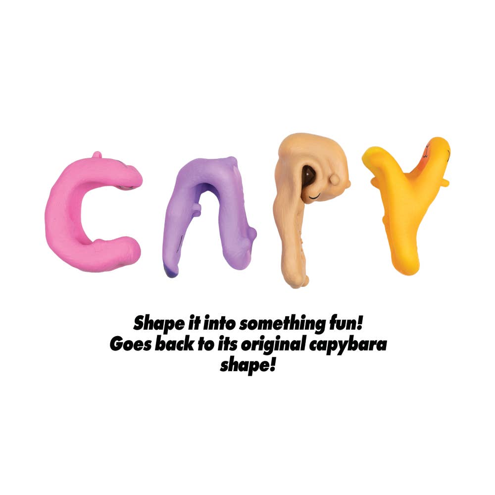 CAPYBARA TOY  SQUISHY