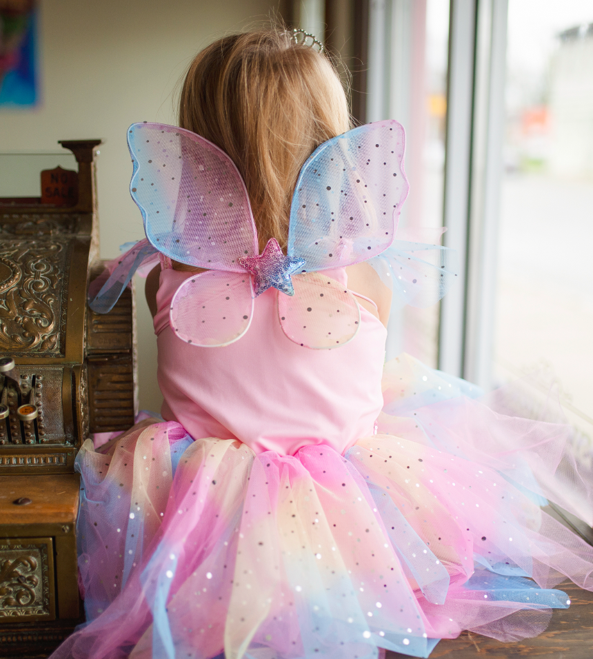 Rainbow Fairy Dress & Wings 5/6