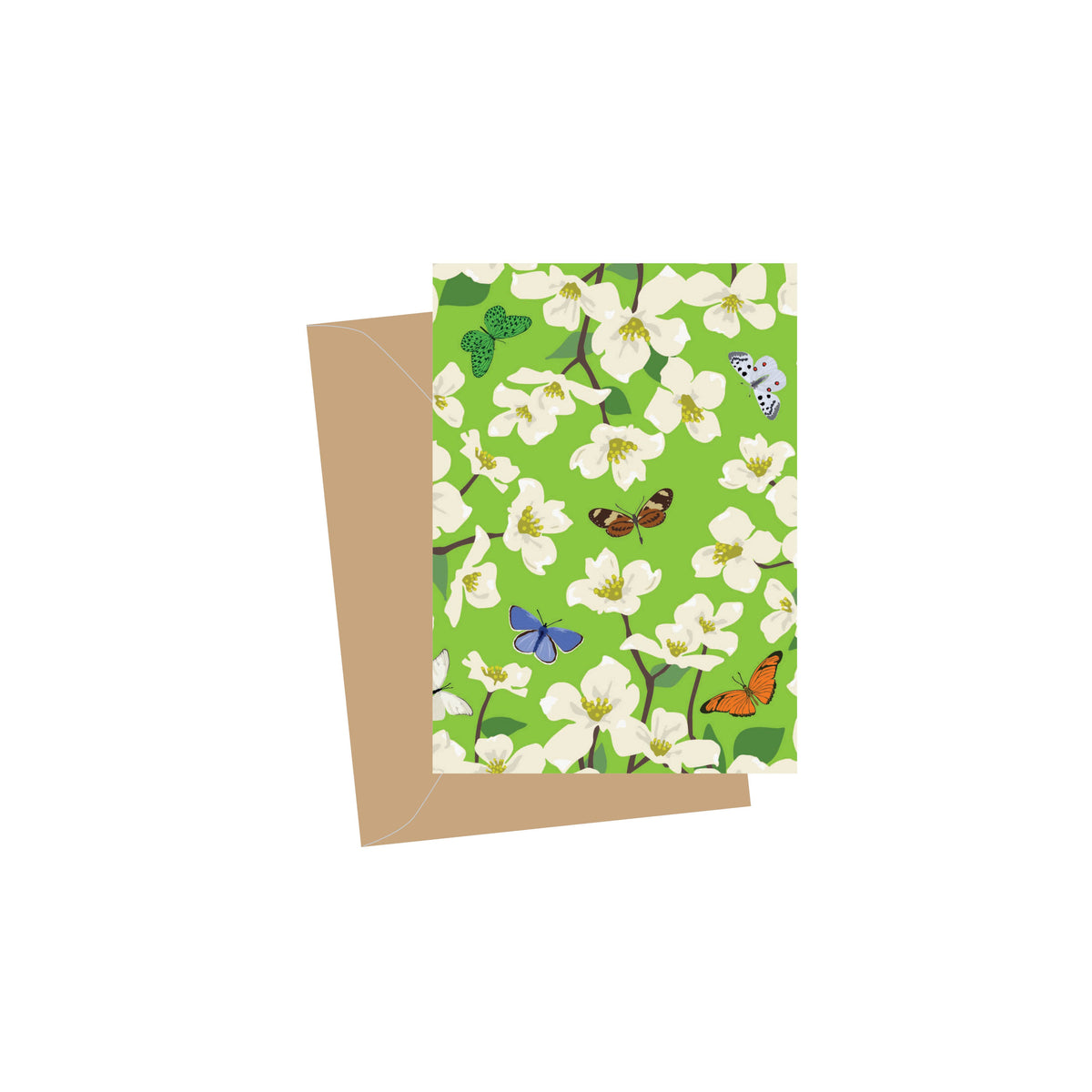 Mini Dogwood Blank, Folded Enclosure Cards