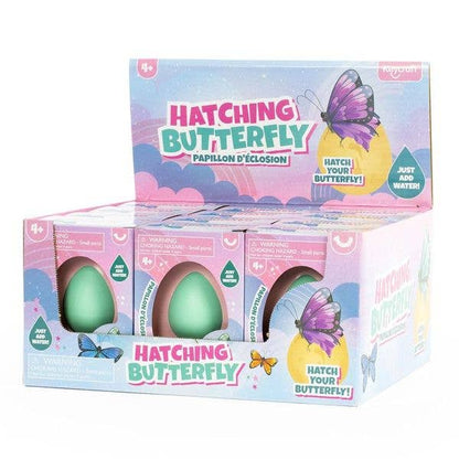Keycraft Hatching Butterfly Egg Toy