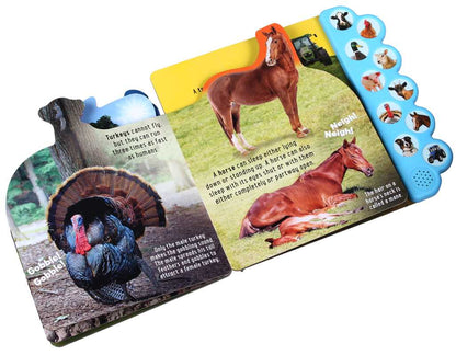 Discovery: Oink on the Farm! by Thea Feldman
