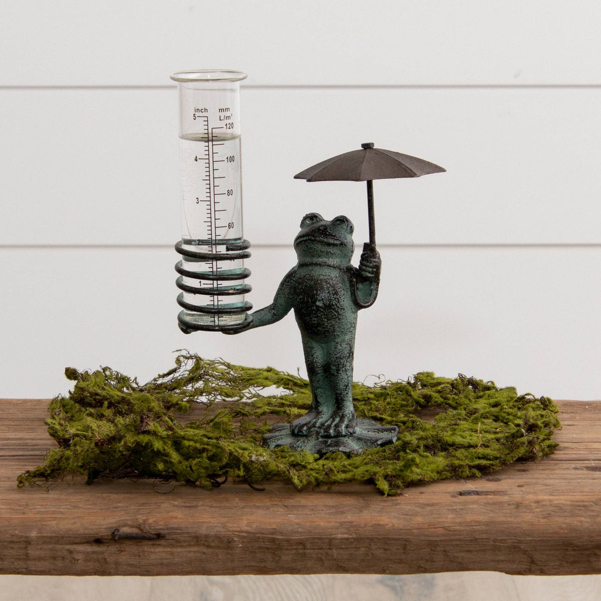 Frog Rain Gauge (PC)