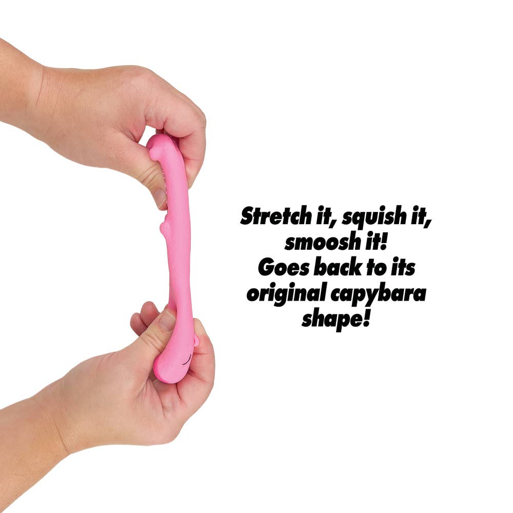 CAPYBARA TOY  SQUISHY
