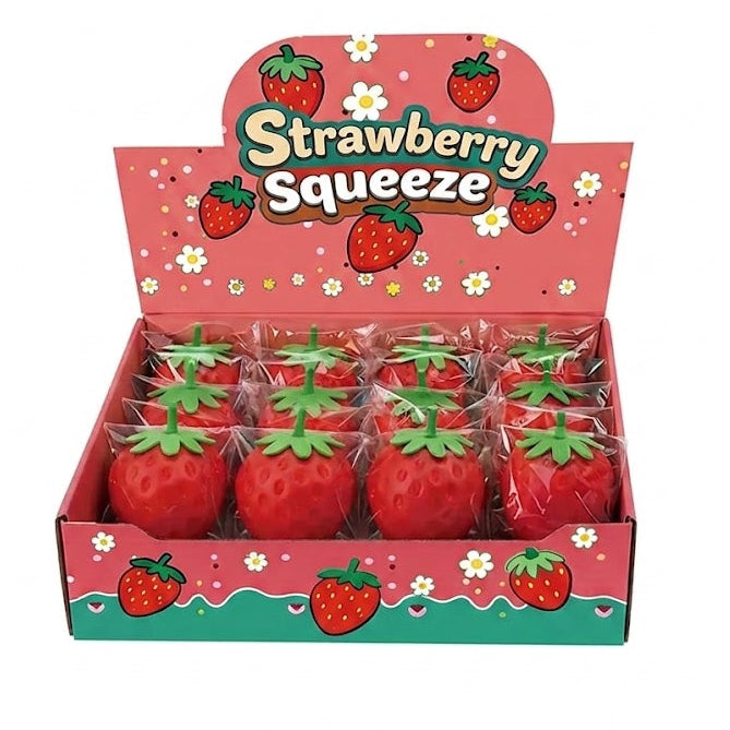 Strawberry Squeezy Toy