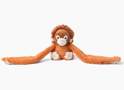 Ollie The Orangutan