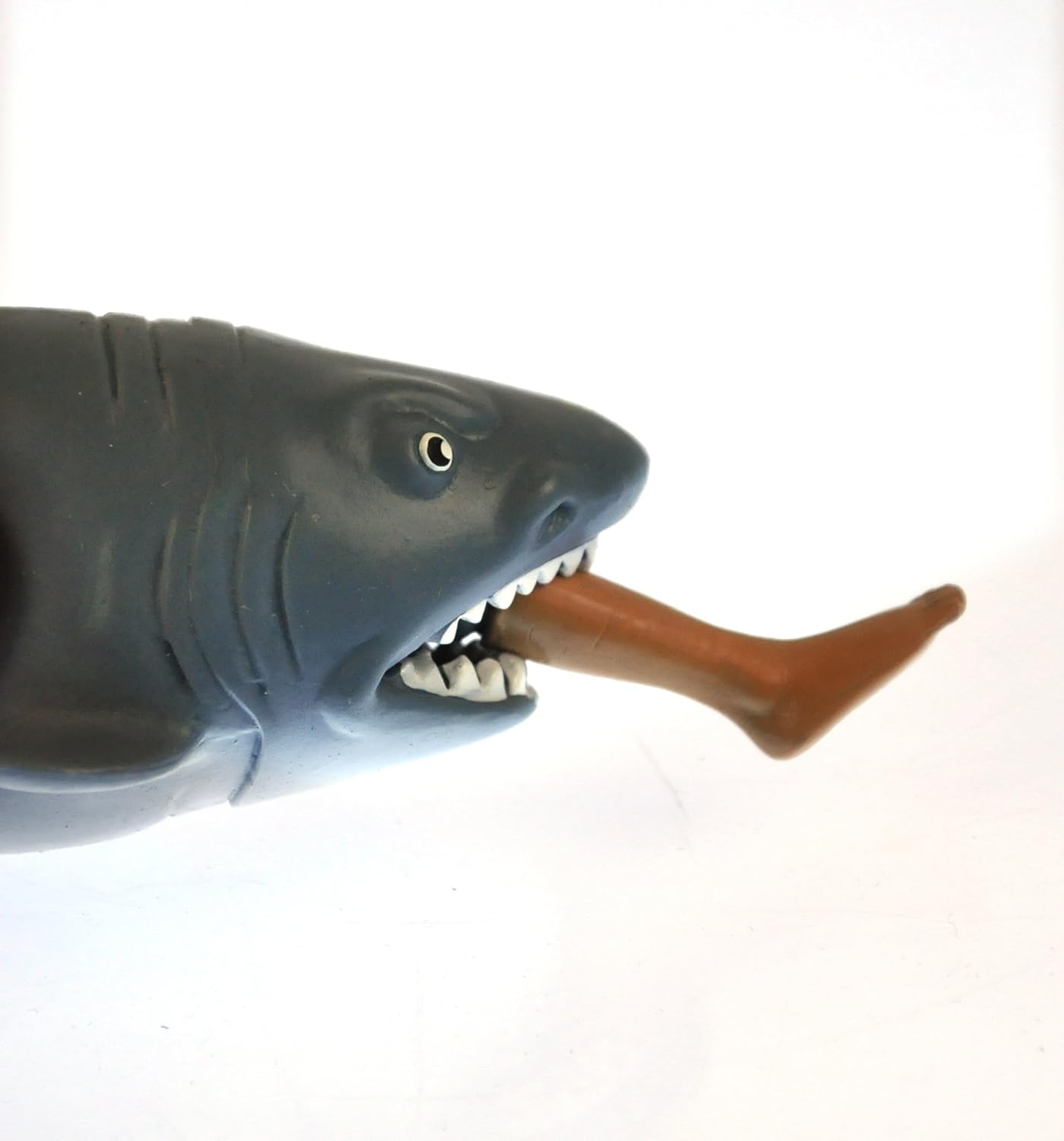 Chomp the Shark