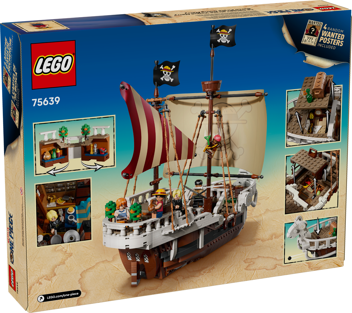 The Going Merry Pirate