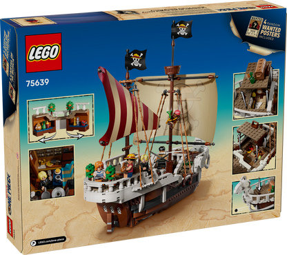The Going Merry Pirate