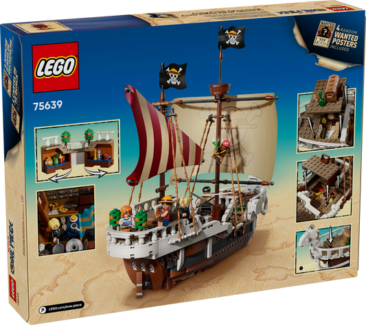 The Going Merry Pirate