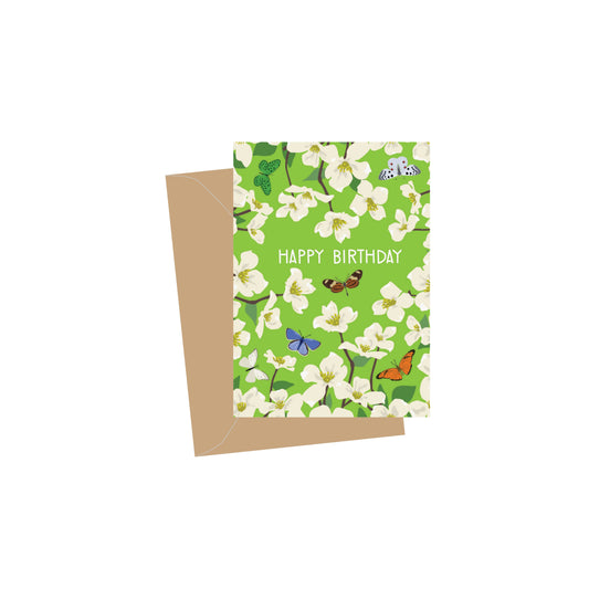 Mini Birthday Dogwood Butterflies, Folded Enclosure Cards