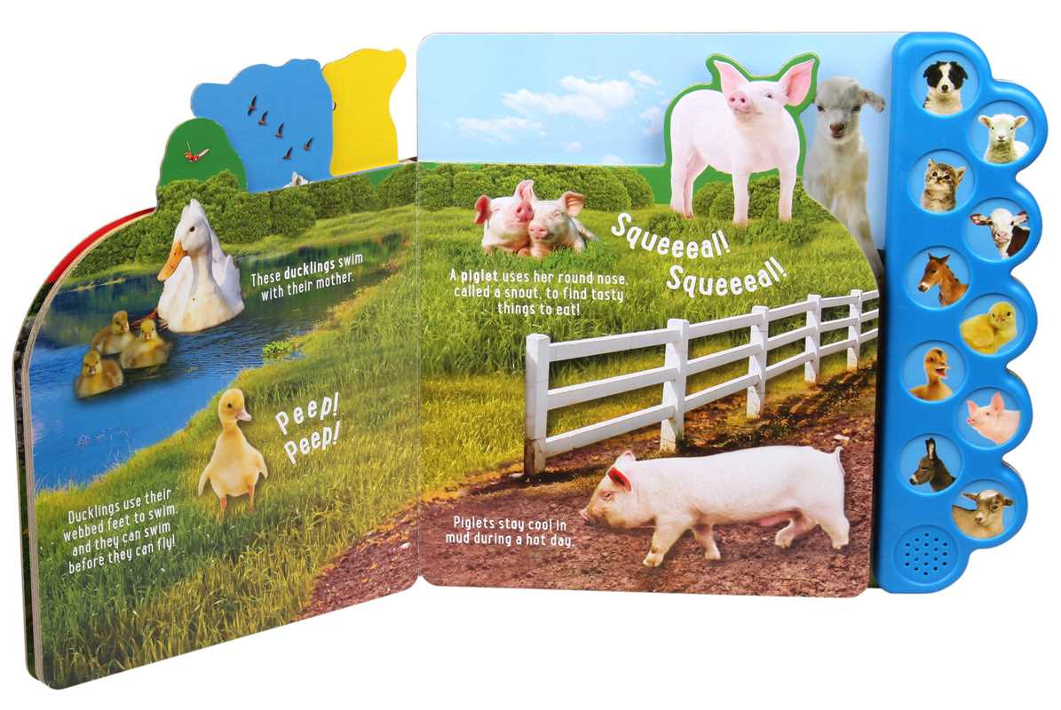 Discovery Kids: Baby Farm Animals! by Editors of Silver Dolphin Books