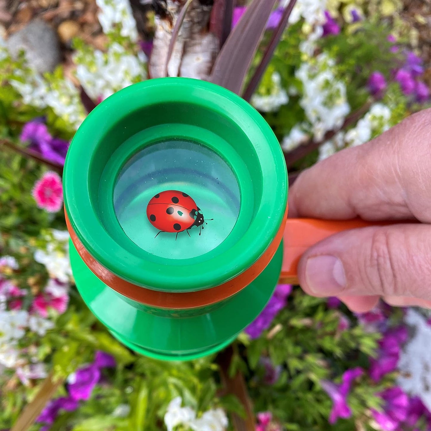 Bug Catcher and Viewer