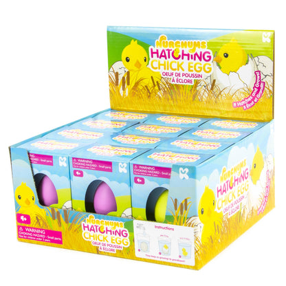 Keycraft Small Chick Hatching Eggs Toy
