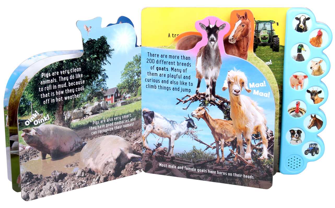 Discovery: Oink on the Farm! by Thea Feldman