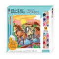Paint Number Wild Horses