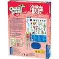 Ooze Labs Visible Human Body w/squishable organs