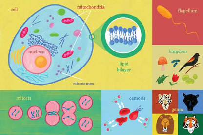100 First Words Geniuses