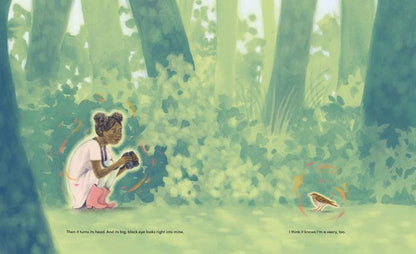 The Class with Wings