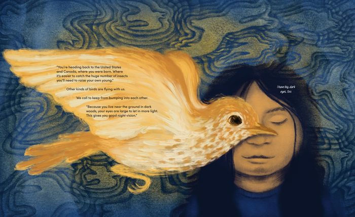 The Class with Wings