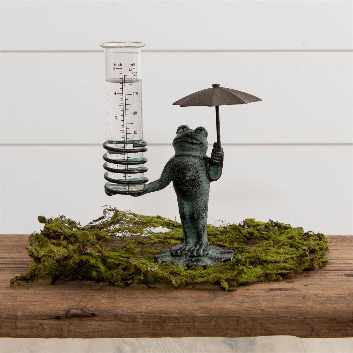 Frog Rain Gauge (PC)