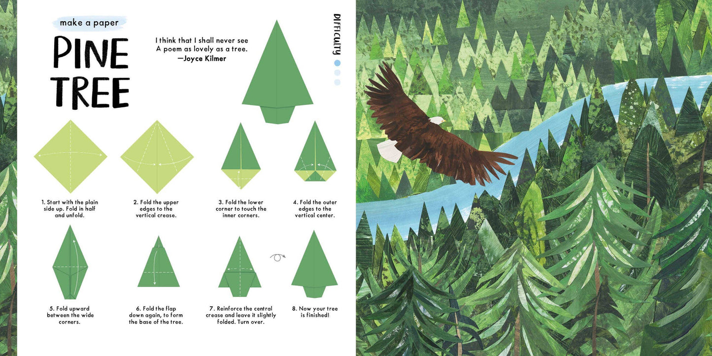 National Trust: Blossom Origami
