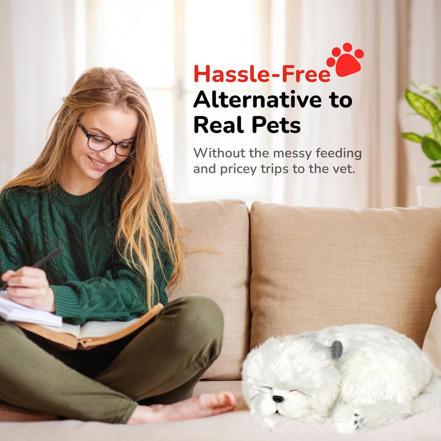 Perfect Petzzz Maltese