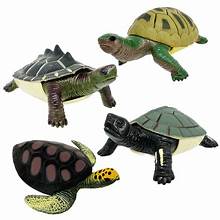 Turtle Squishimals 18