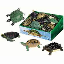 Turtle Squishimals 18