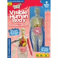 Ooze Labs Visible Human Body w/squishable organs