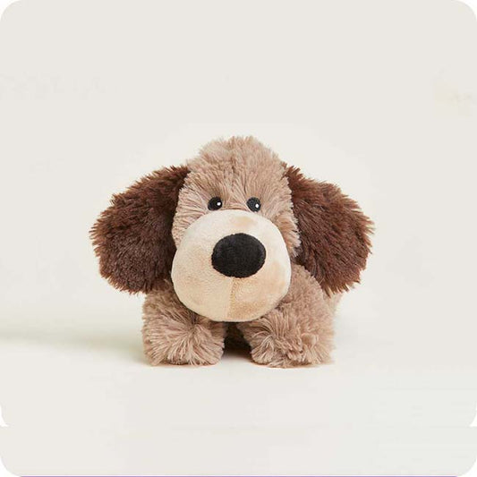 Brown Dog Junior Warmies-1