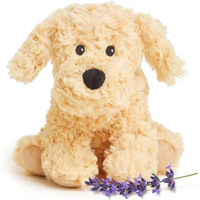 Golden Dog Junior Warmies-1