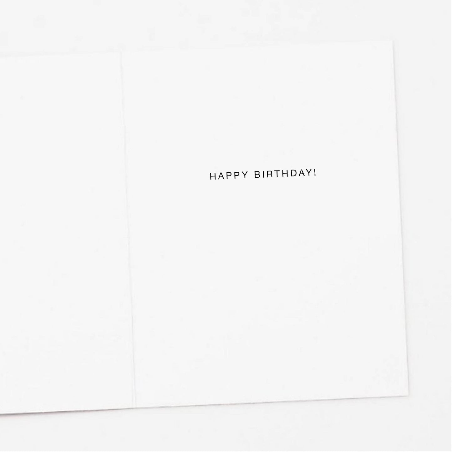Cat Floating with Balloons Birthday Card