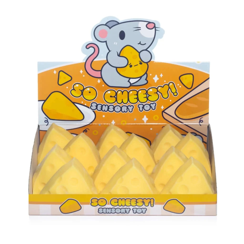 So Cheesy, squishy cheese toy