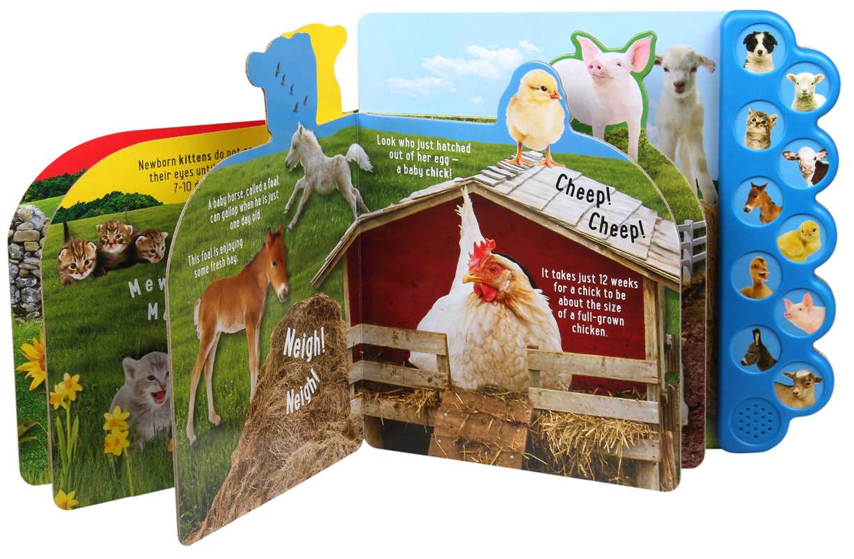 Discovery Kids: Baby Farm Animals! by Editors of Silver Dolphin Books