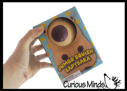 Jumbo Capybara Doh Filled Squishy Squeeze Stress Ball Soft